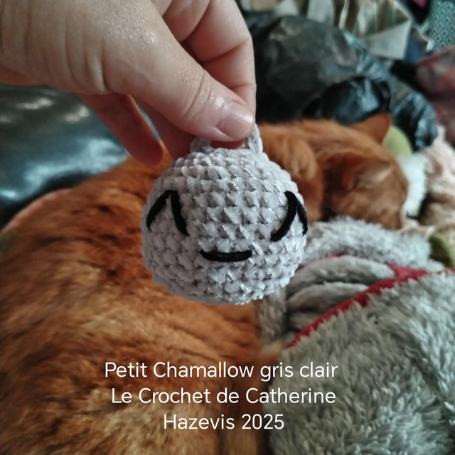 2025 Petit Chamallow gris clair 