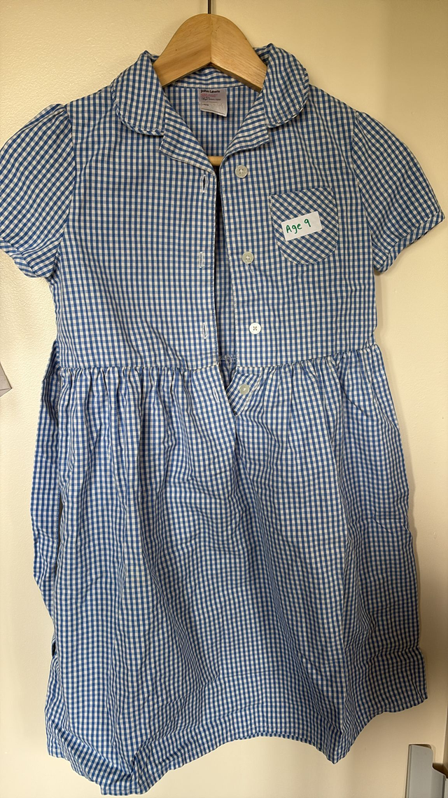 Summer Dresses Blue Age 9 (D24)