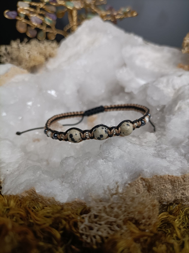 Colleen (Jaspe Dalmatien)