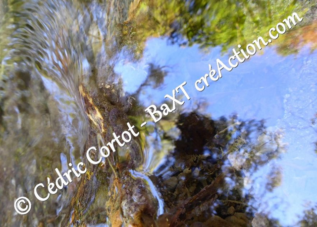 Carte postale - Reflets et cours d'Eau (Ref P1180767)