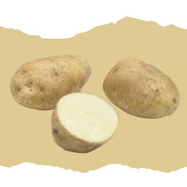 BINTJE – La référence pour les frites