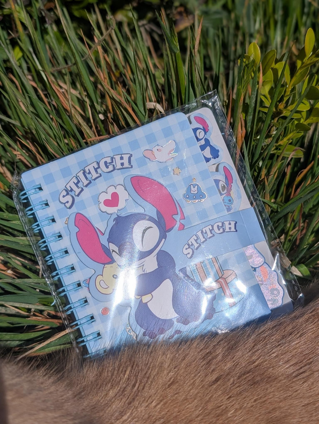 Carnet Stitch 