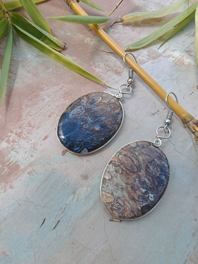 Boucles d'oreilles en bois de palétuvier fossile