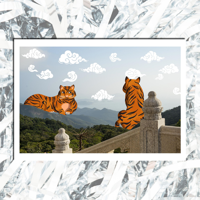 Tigers (dessinto) - A4