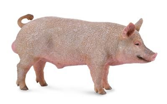 Collecta 88864 porc 