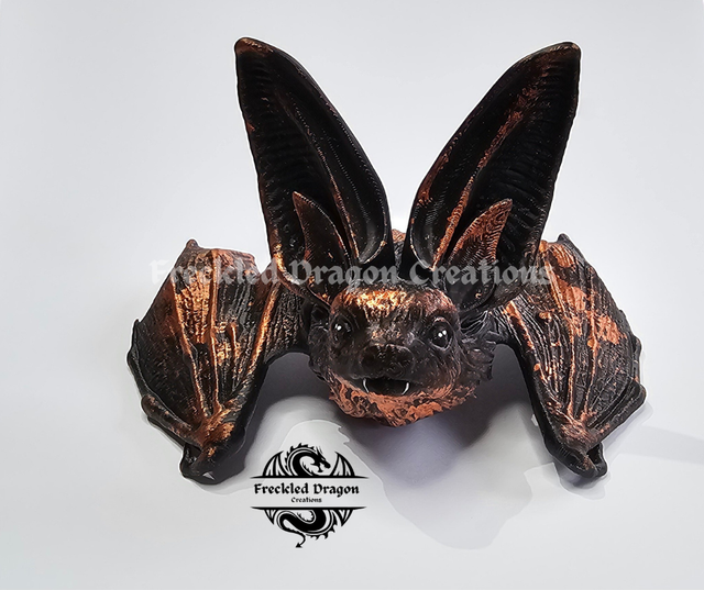 Long Eared Bat