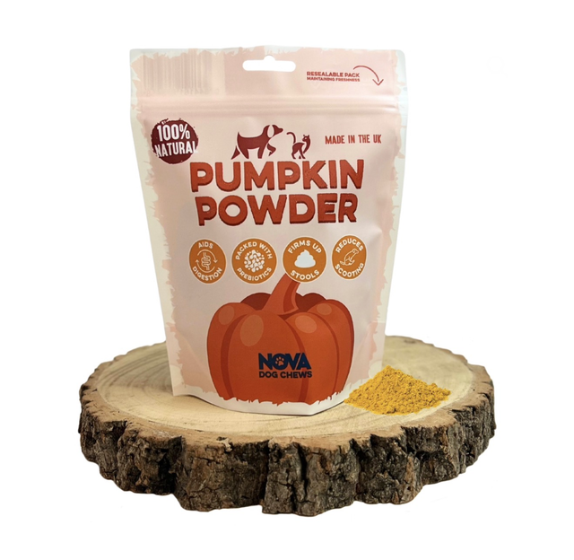 Pumpkin Powder
