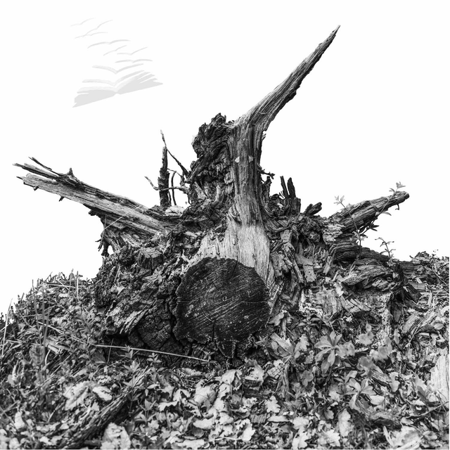 La fin est le début…