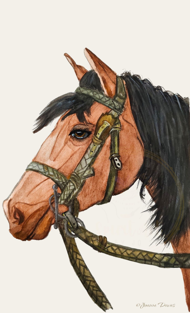 Horse