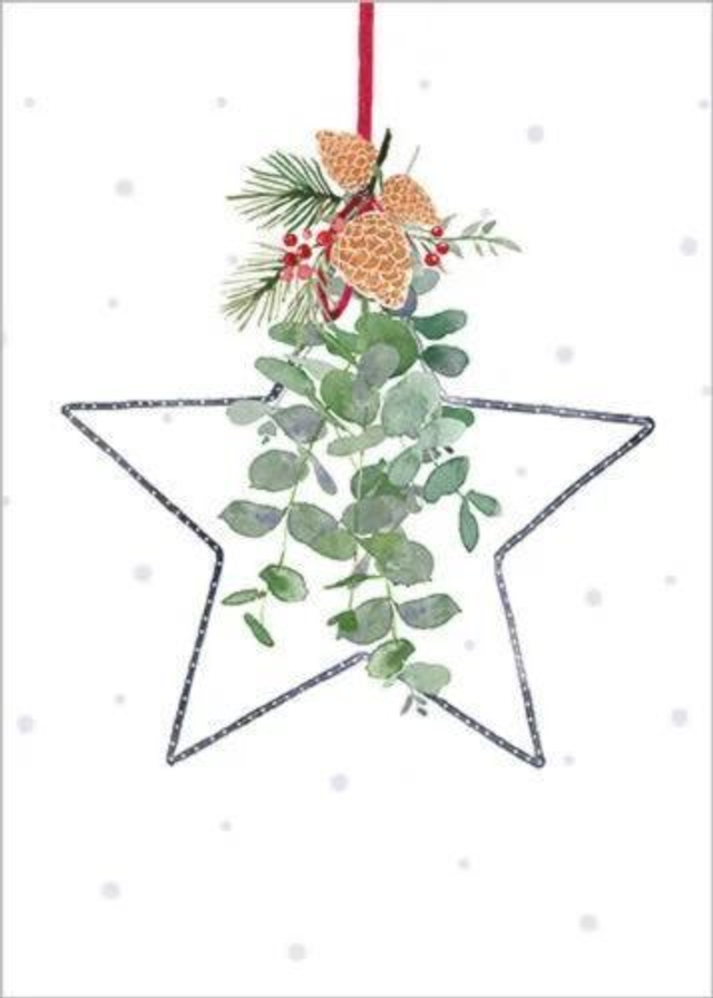 XCA08 Star with Eucalyptus - Pack of 8