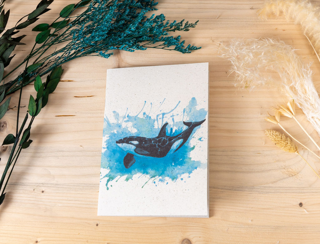 Notizbuch - Orca 2 - Der elegante Jäger der Meere