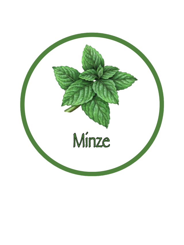 BIO Kräuterpellets Minze