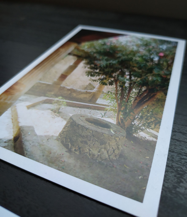 « Dove risuona il rumore degli uomini »