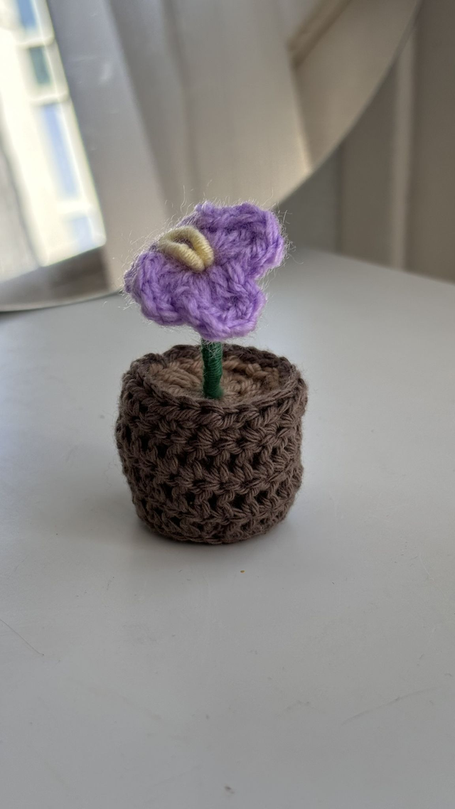 Mini pot de fleur violette