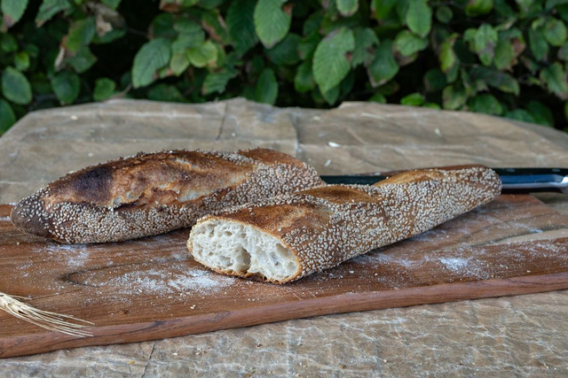 Franse baguette sesam