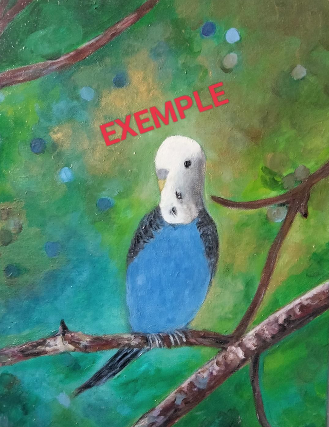 Portrait de votre oiseau 