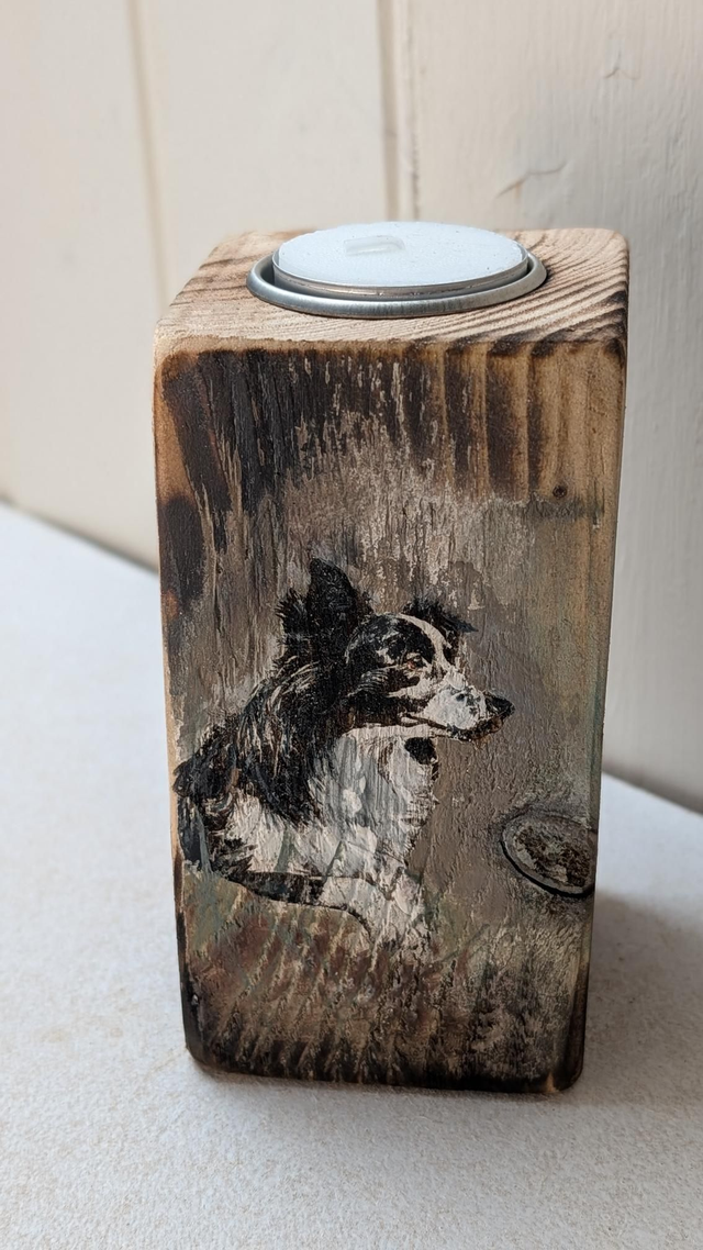 Collie dog lay down, looking out - Tealight Holder