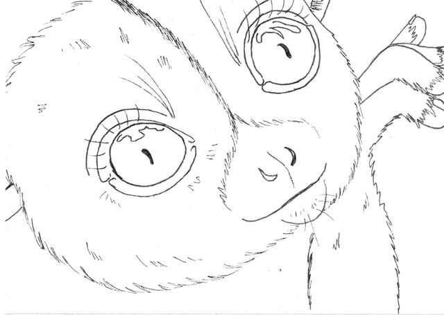 Carte &quot;Finis Moi!&quot; - Lémur Sportif d&#039;Ankarana