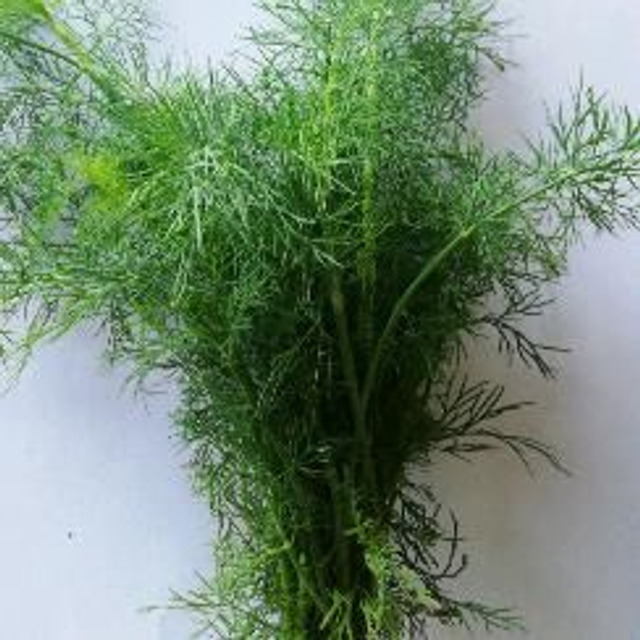 Kräuter Dill 100g
