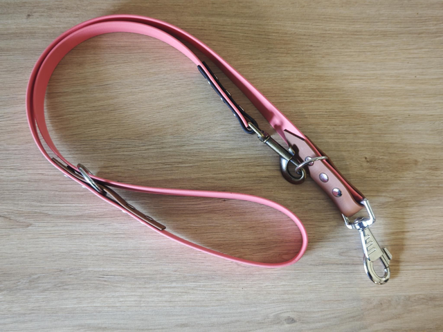 Laisse 25mm Multi position