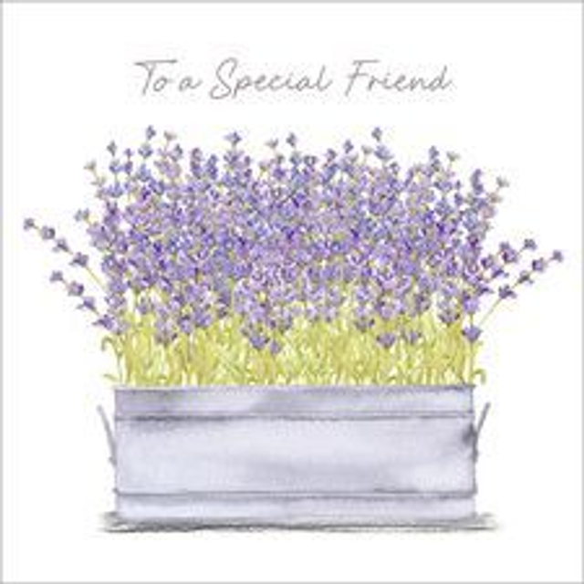 Lavender Special Friend A033