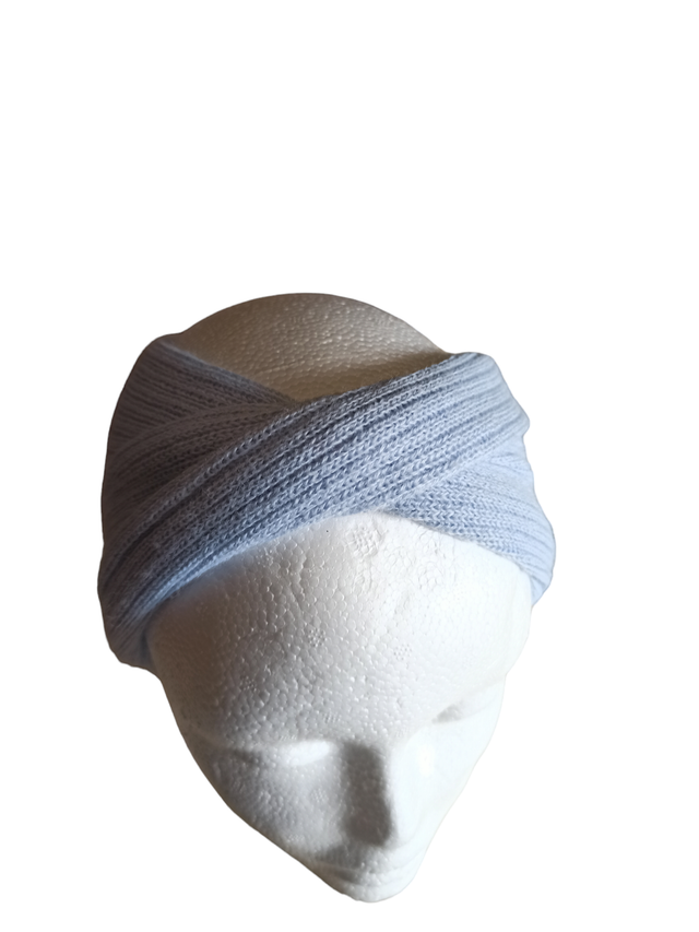 Bandeau bleu (Pesci)