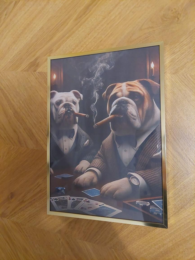 A4 koon Bulldog pelurit, kultainen kehys 