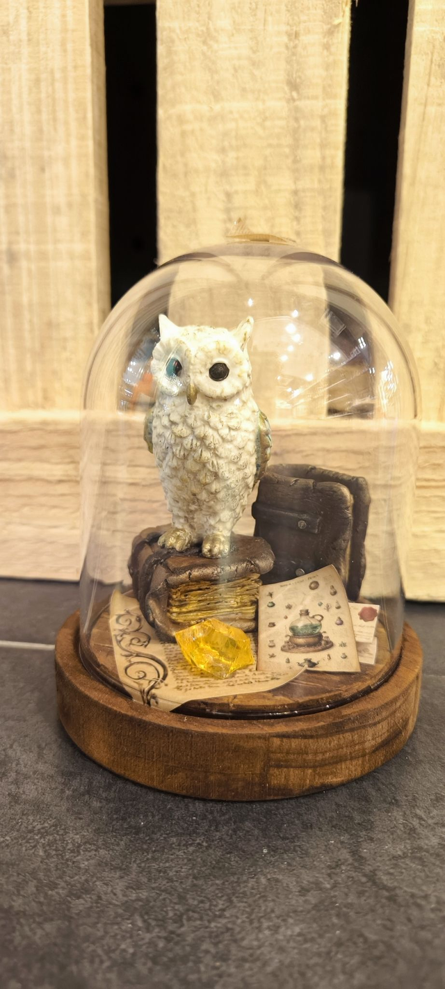 Hibou magique