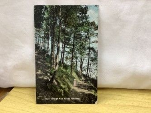 Path through Pine Woods, Minehead, Somerset, Posted 1912 Valentine&#039;s Series antique postcard Our Ref No. R495 £2.50