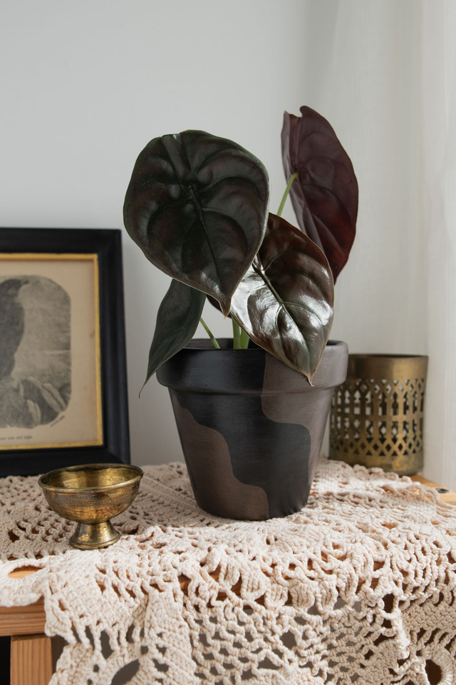 Shadow Spark 🔮 Pot peint à la main