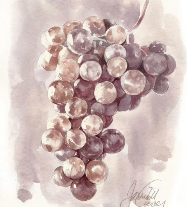 L'aquarelle avec du vin et du café