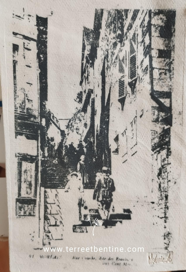  COLLECTION : CPA Morlaix - "Les 100 marches"