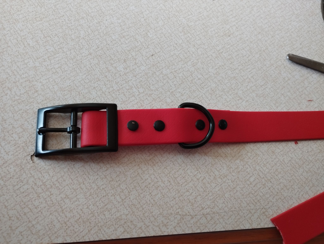 Collier Biothane (25mm) personnalisable