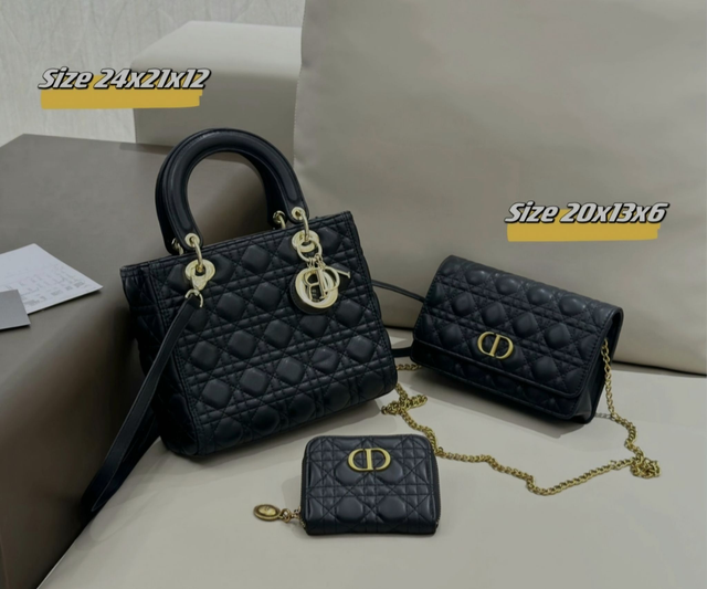 Ensemble deux Sacs avec porte feuille CD