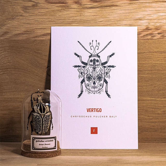 _A5 / Vertigo