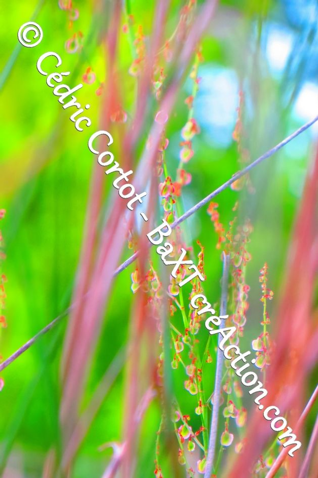 Impression sur alu dibond - Paysages et divers (ref 5592)