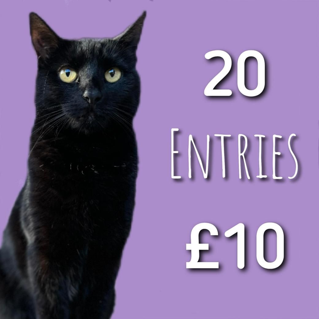 Julie's Easter Hamper Raffle for Feline Care 20 entries