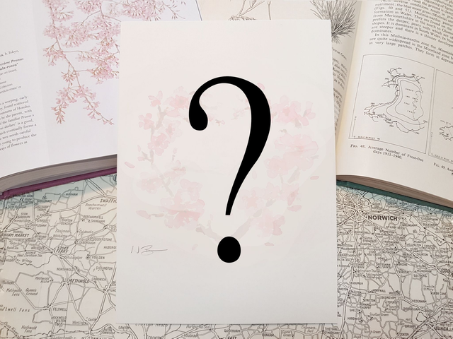 Surprise Mystery Lucky Dip print