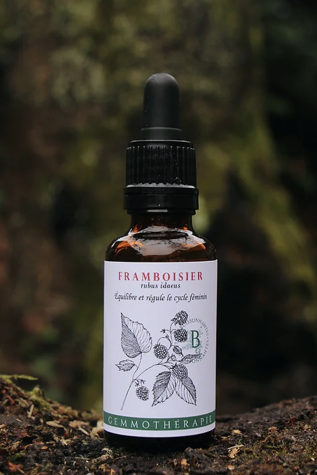 Framboisier gemmothérapie 