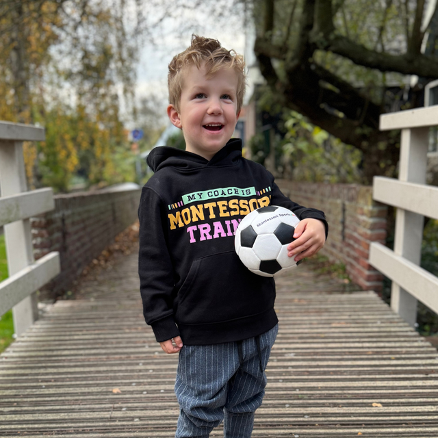 My Coach is Montessori Trained — Mini Cruiser 2.0 Kids Hoodie 