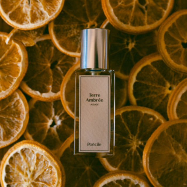 Eau de parfum - Terre Ambrée - Poecile