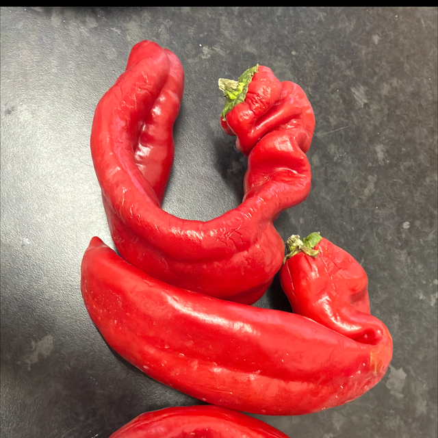 Long Red Pepper 3 For