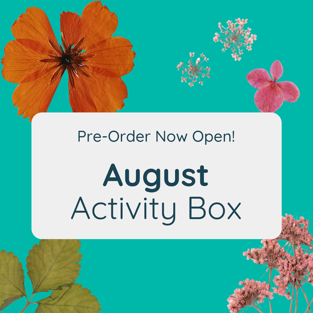 August Nature Activity Box