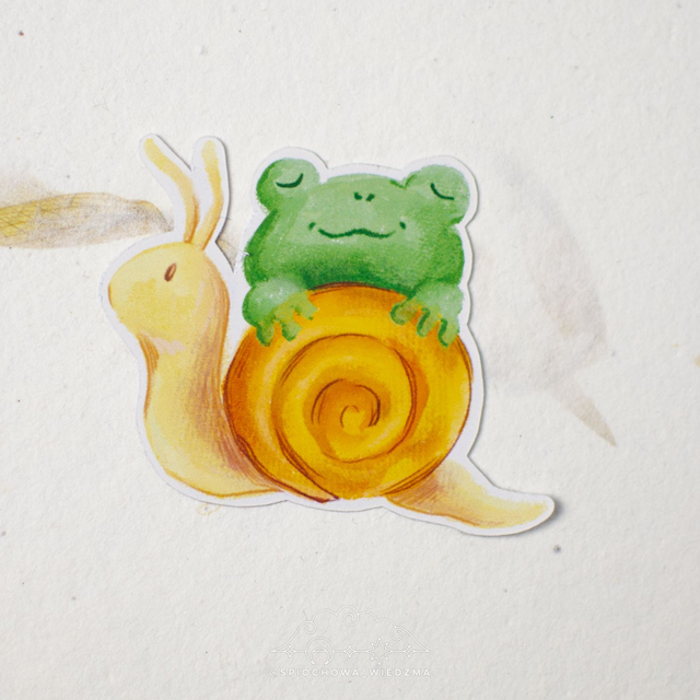Żaba na ślimaku | ZWIERZĘTA