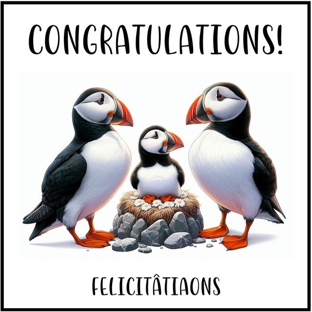 100 CARD - OCCASION CONGRATULATIONS  PUFFIN BABY