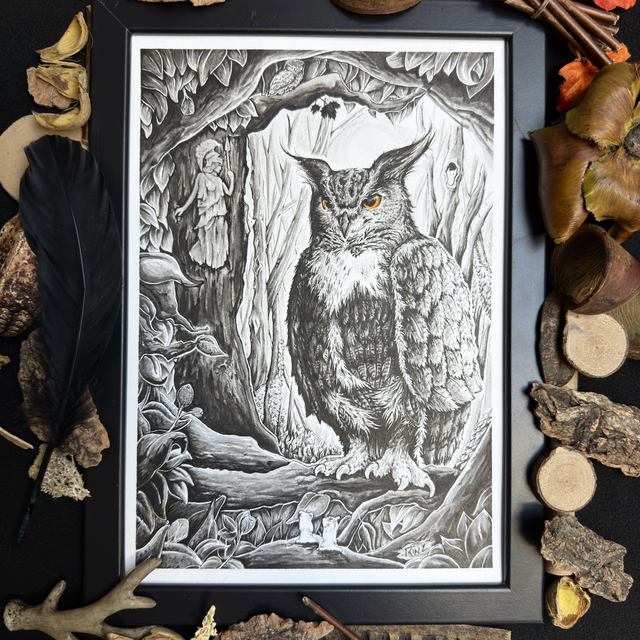 Hibouette d’Athena