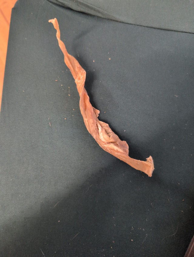 Mini Bully Muscle Stick