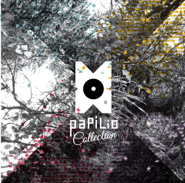 COLLECTION PAPILIO / 5