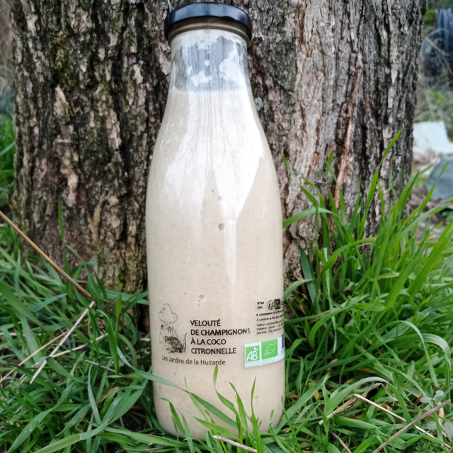 Velouté de champignon à la coco citronnelle