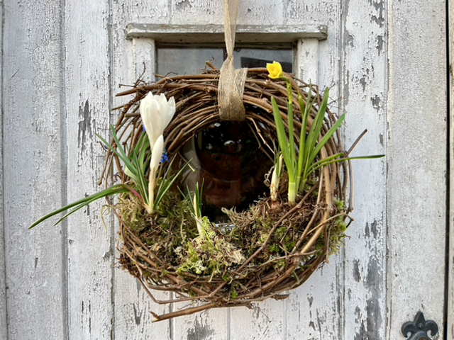 live plant spring wreath - small - white, yellow, blue 
